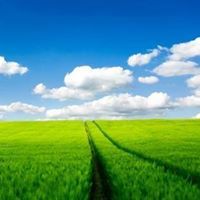 জাইদী রেজা