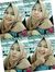 Rini Yanti
