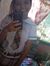 Shean M...