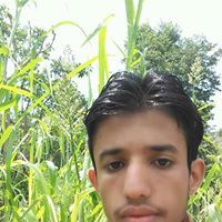 عبدالرحمن الهناهي