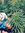 You Ssef