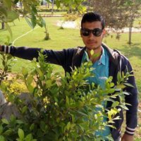 Sayed Sobhi