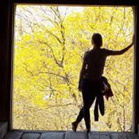 Michaela Celárková