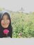 Lilis N...