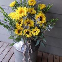 Barbara Klimaszewski-Weeks