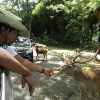 مبارك باكور