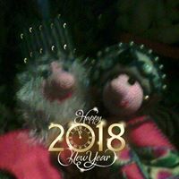 Светлана Волкова