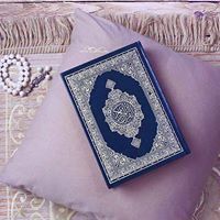 Badr Sayed