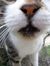 Çöyçek EG