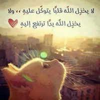 الصادق عثمان