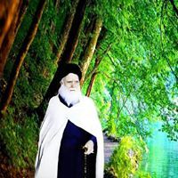 مرتضى سلمان شيال