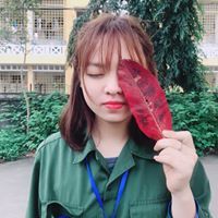 Nguyễn T.