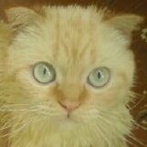 Настя Трунилова