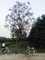 Yashika...