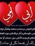 Abeer F...