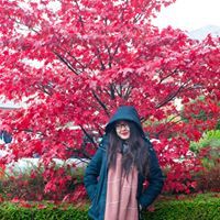 Linh Trinh Hoai