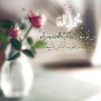 محب المصطفى