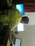 Deepak ...