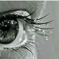 Sofia Animo Valiente