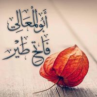 فاتح طيرالجزائري