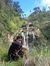 Teguh P...