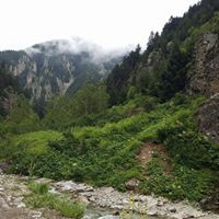 عبدالعزيز مطر