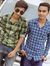 Bhanu P...