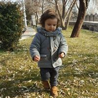 E Cici Karaboğa