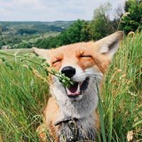 Stefan Aguinaldo Soerensen