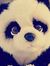 Rowan S...