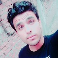 Elsayed Abd El-Halim