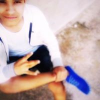 صقر التريكي