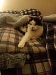 Lena