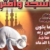 محمد السيد الموجي