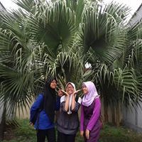 Lintang Ningarum