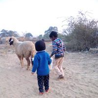 Diwan Verma