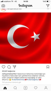 Şule