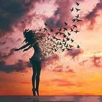 عاصفه السكون