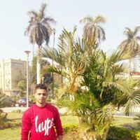 Alaa Mohamed