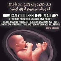 Shahed Ahmed