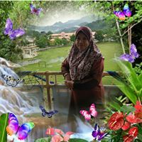Hanis Ain