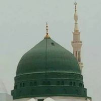 Shahid Adeel