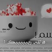 نور الإسلام