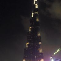 الورده البيضاء
