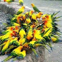 Prabavathy Praba