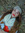 Karen Mishelle (karenmishelle8) | 4 comments