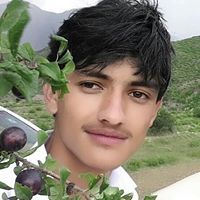 Qadeer Hussain