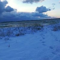 Maggie Stephens Dougherty