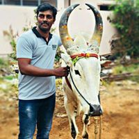 Gowtham Subramaniam