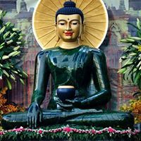 Nhox Hanh